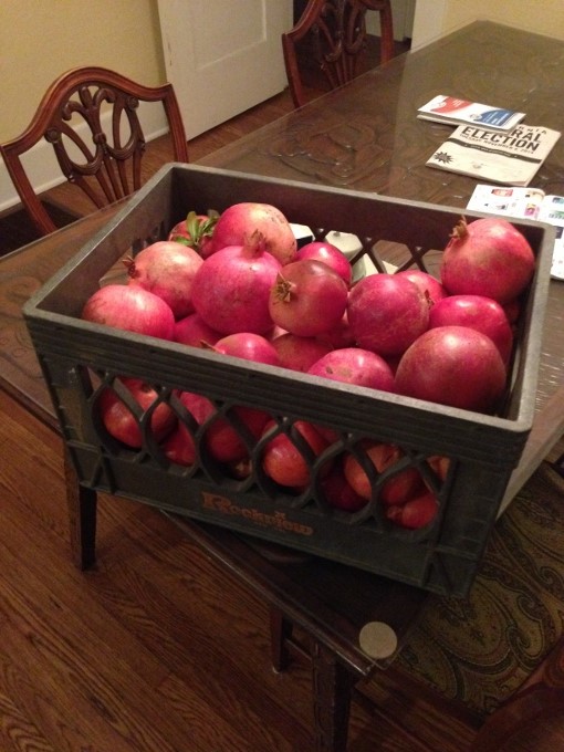 Pomegranates